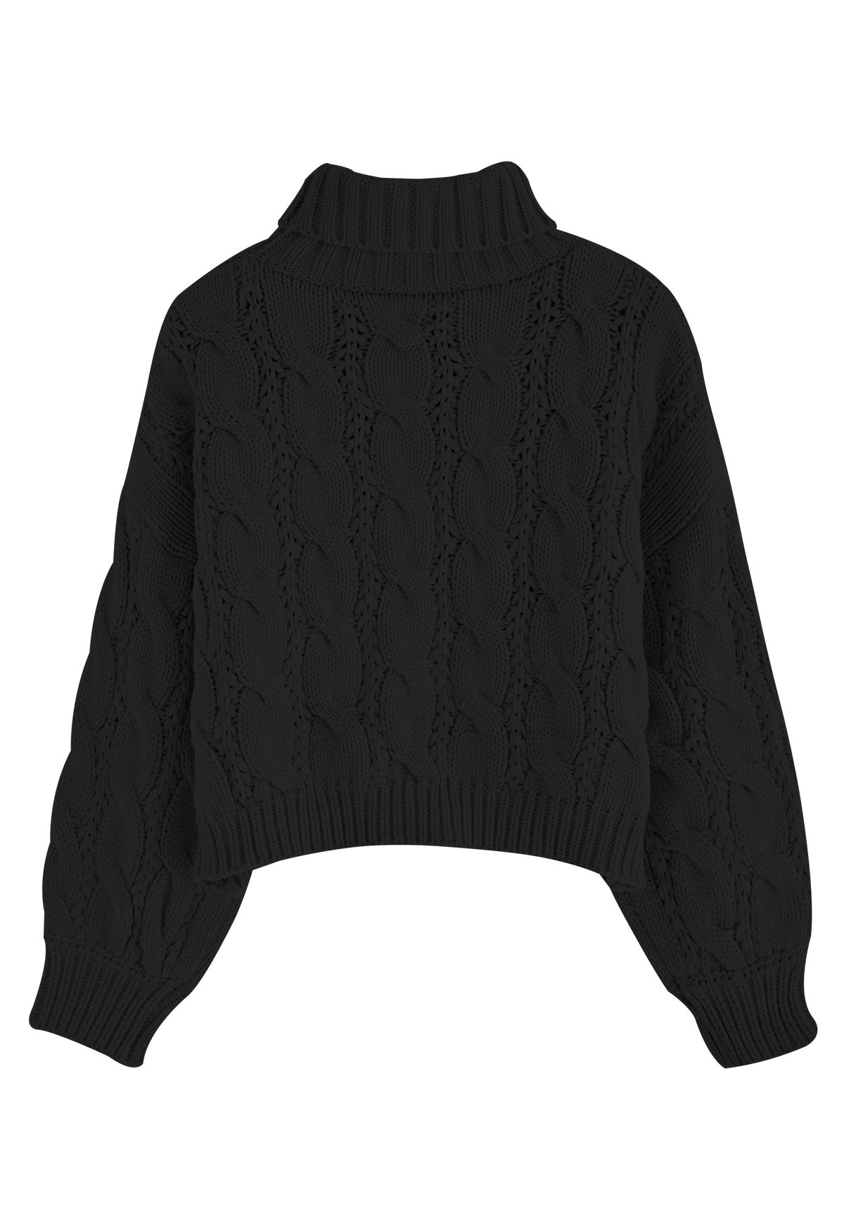 Turtleneck Braid Knit Crop Sweater in Black