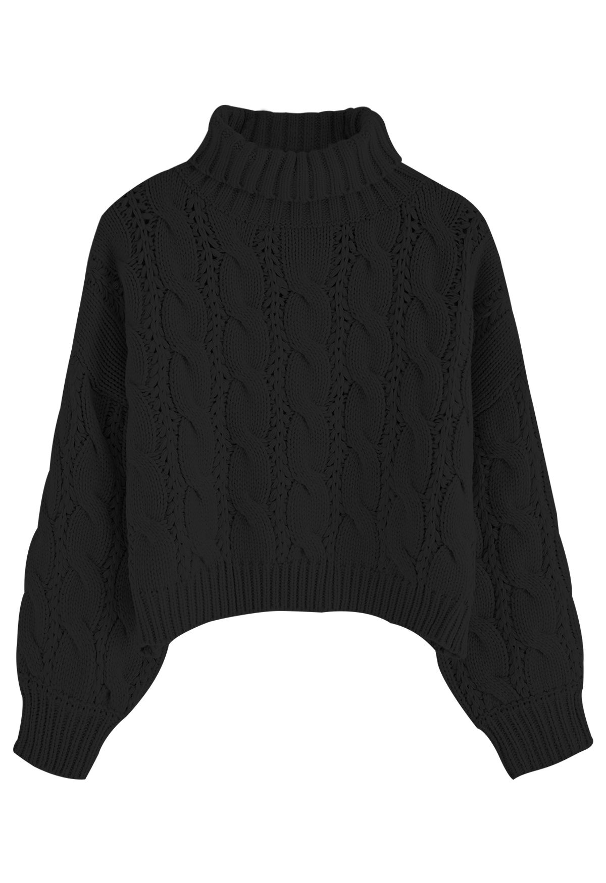 Turtleneck Braid Knit Crop Sweater in Black